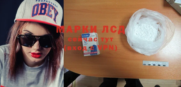 сатива Беломорск