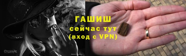 сатива Беломорск