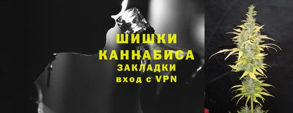 сатива Беломорск