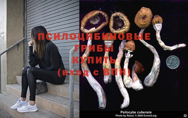 синтетический гашиш Белокуриха