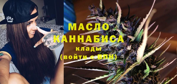 сатива Беломорск