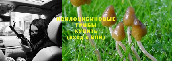 синтетический гашиш Белокуриха