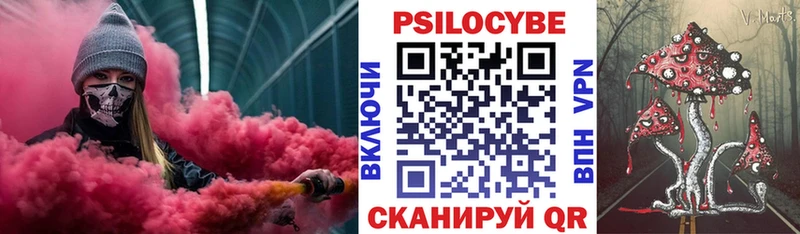 Псилоцибиновые грибы Cubensis  Купить закладки  Никольск 